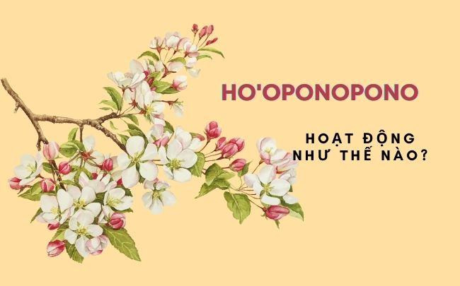 Ho'oponopono là gì? 5 bước đơn giản trong thiền Ho'oponopono