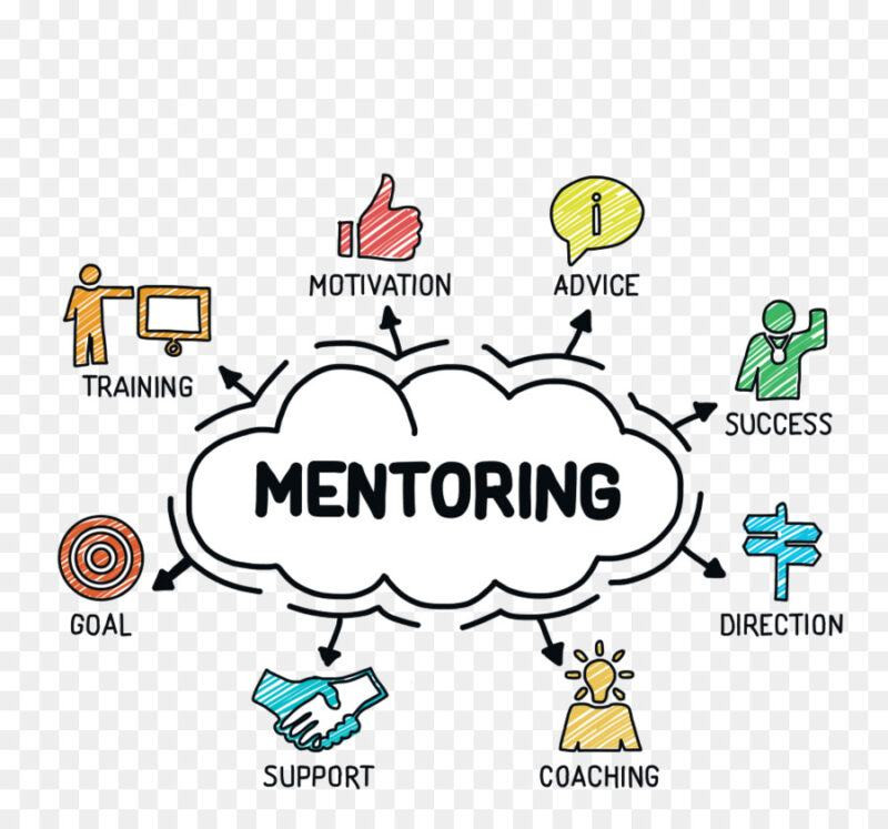 mentor là gì