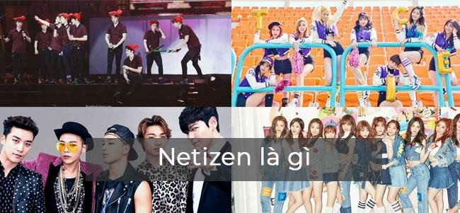 Netizen là gì?