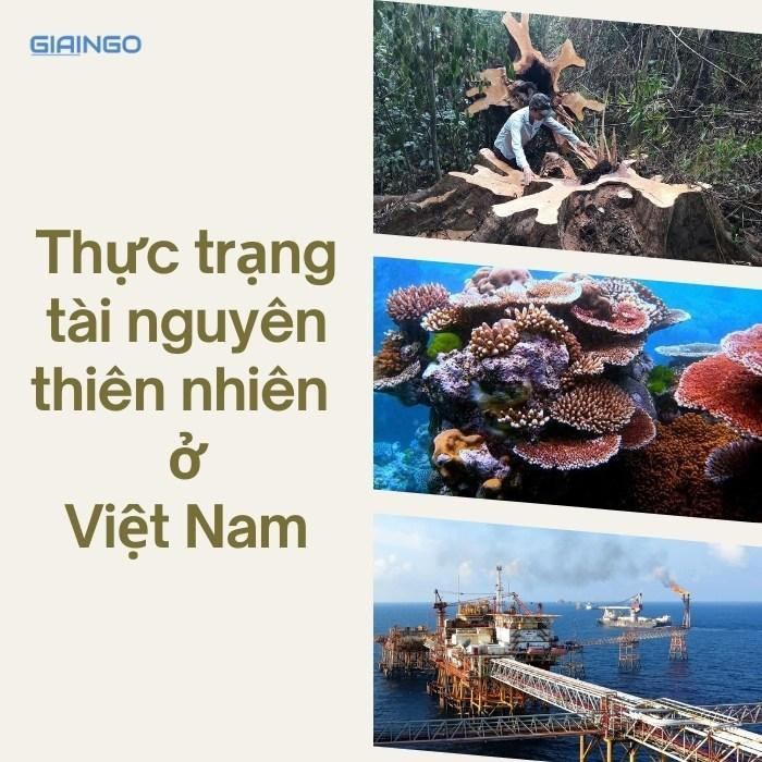 Thực trạng tài nguyên thiên nhiên ở Việt Nam