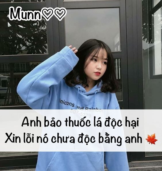 Stt hài hước khó đỡ