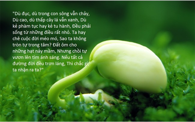 Những câu nói hay về cuộc đời