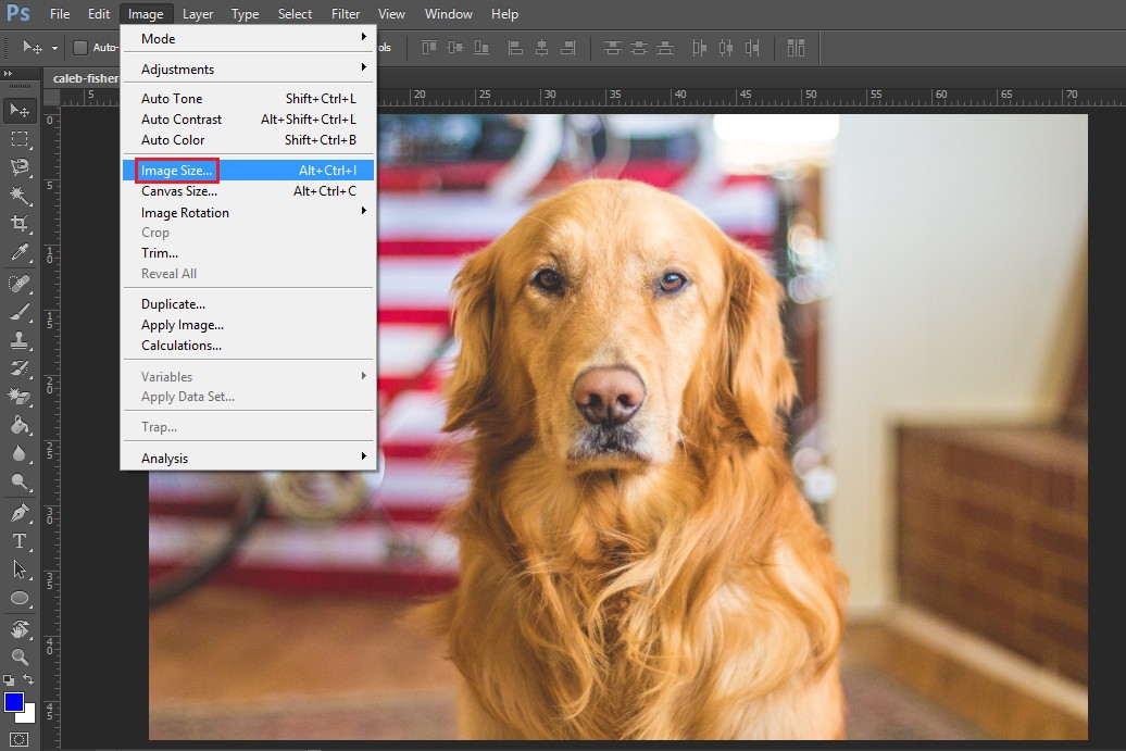 Thay đổi kích thước layer trong photoshop bằng Resize 