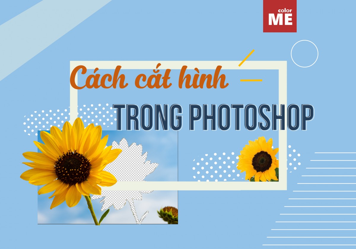 Hướng dẫn cách cắt hình trong Photoshop