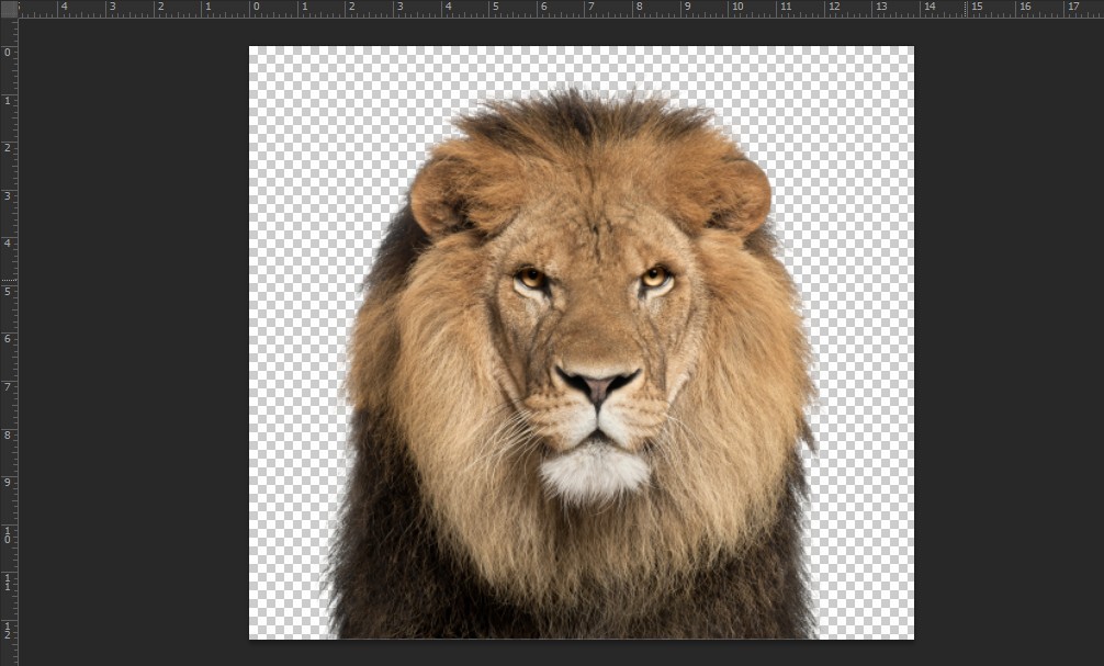 Hướng dẫn cách làm mờ hậu cảnh bằng Photoshop CS6