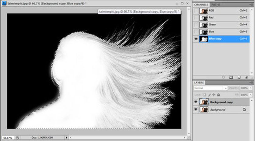 Tách tóc trong Photoshop bằng công cụ Channel