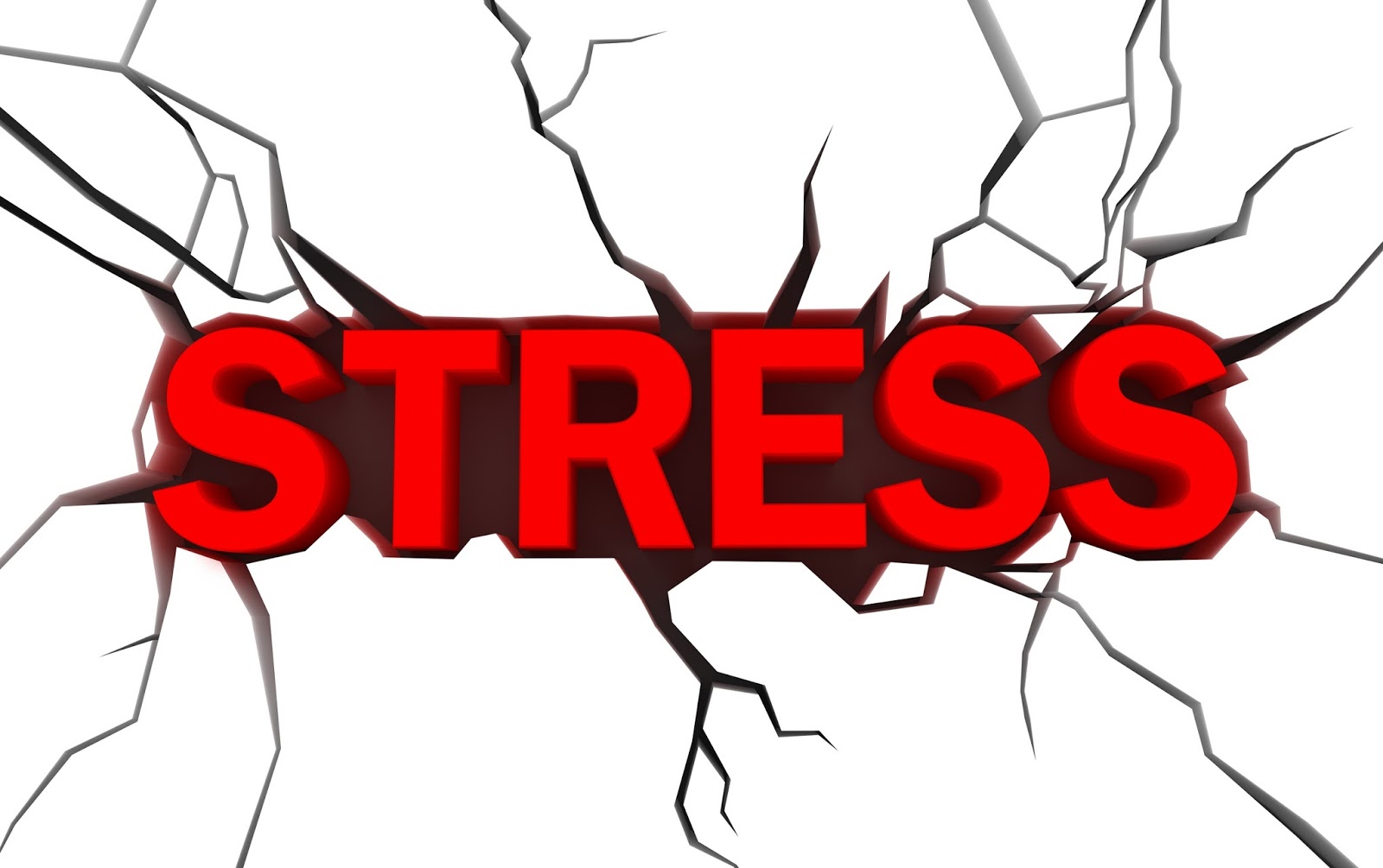 stress là gì?